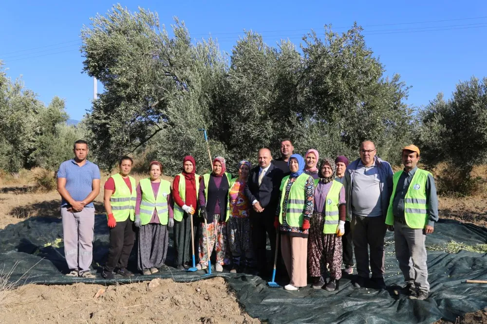 Edremit Belediyesi’nde Zeytin Hasadı Başladı
