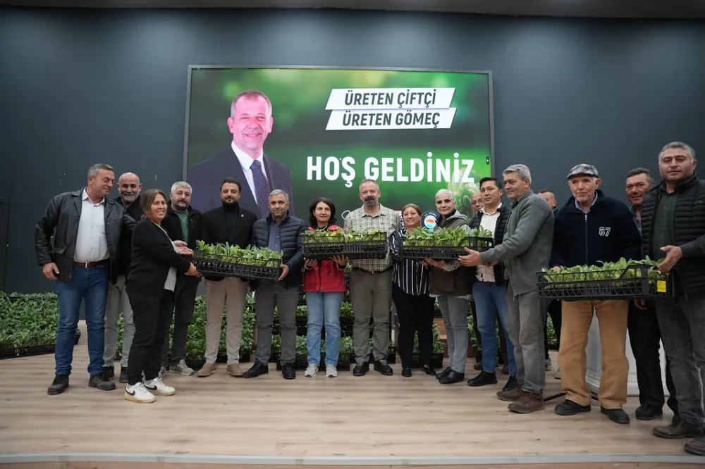 Gömeç’te 50 Bin Enginar Fidanı Dağıtıldı